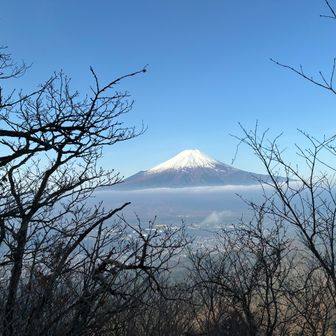 ここでは富士山が見えていたのに、杓子山では雲隠れでした