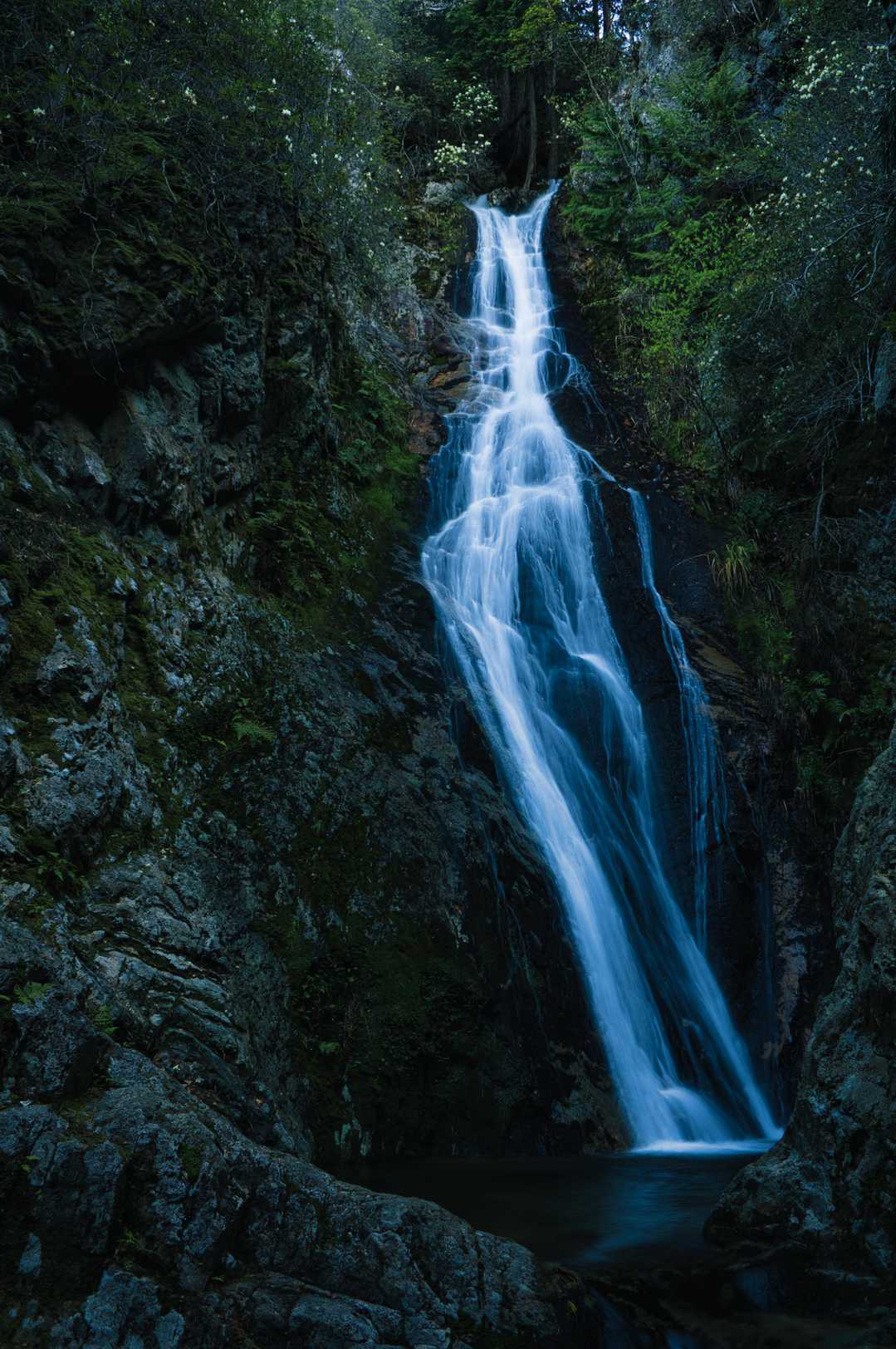 八ヶ尾山 周回コースの写真