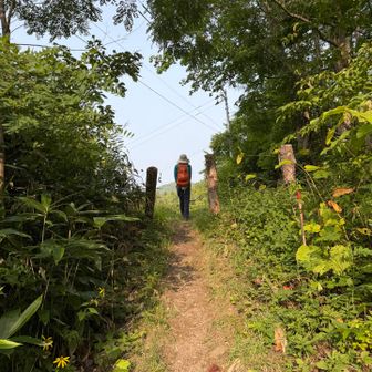 盤渓登山口です。お疲れ様でした〜。良い山行でした😄