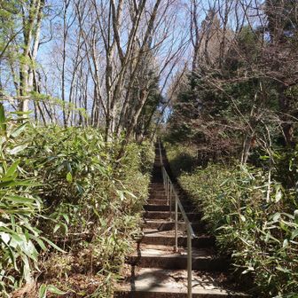 石割山の前半の階段
(400段ほどあるらしい)