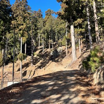 歩きやすい林道