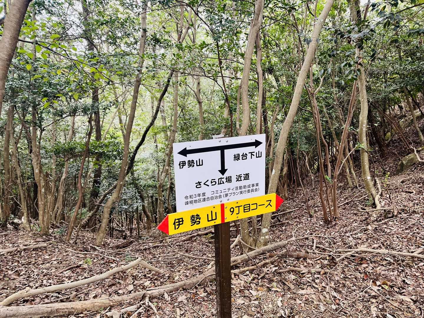 食後歩き出すと案の定、食べ過ぎてお腹の調子が悪い💦
予定していた奥山経由をやめてショートカットコースで下山するハメに😅