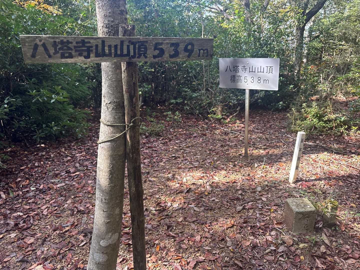 どっちが正しいの？