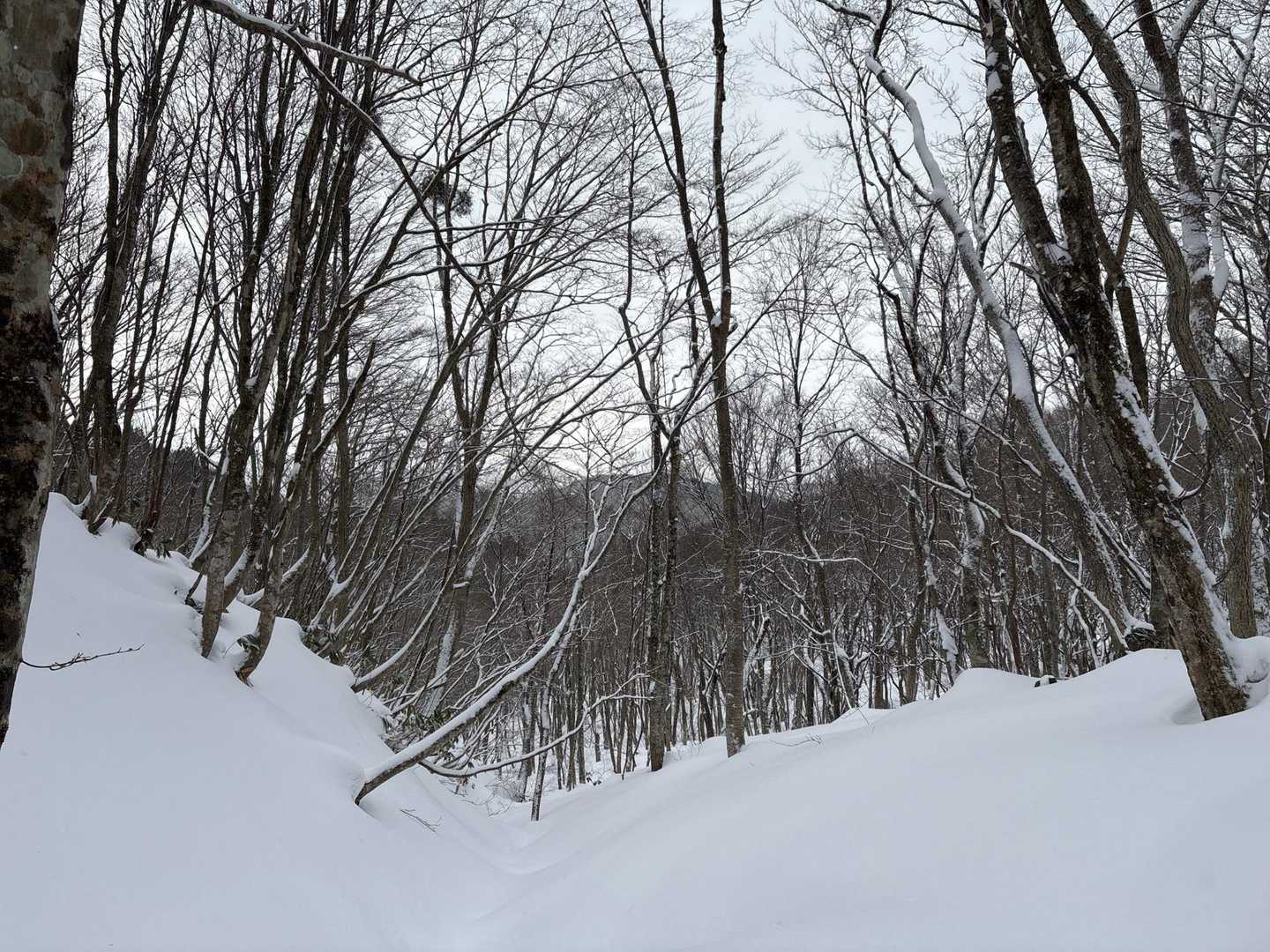 トレース無し！
嬉しい反面、風は強いし雪は舞ってるから怖さもあり