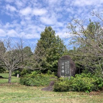 石庭園🪨… この時期　花が無い😅… もうそろそろ　紅葉🍁が…😅