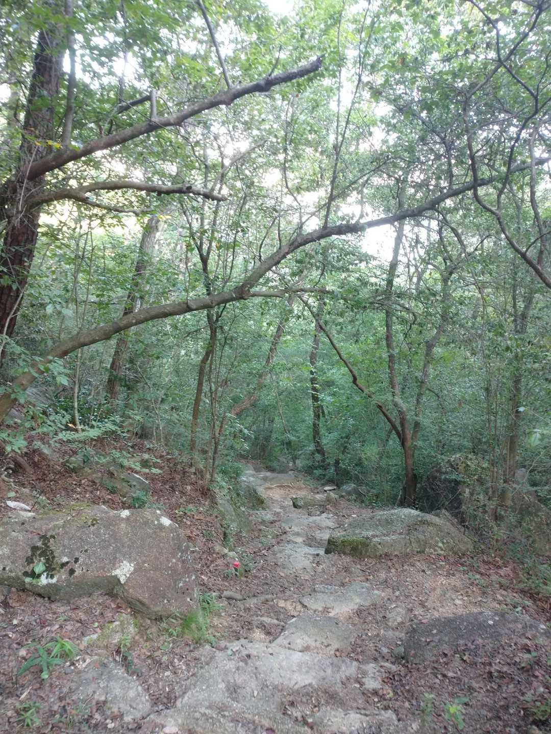それでは、残りの滝へと進んで行きます。
