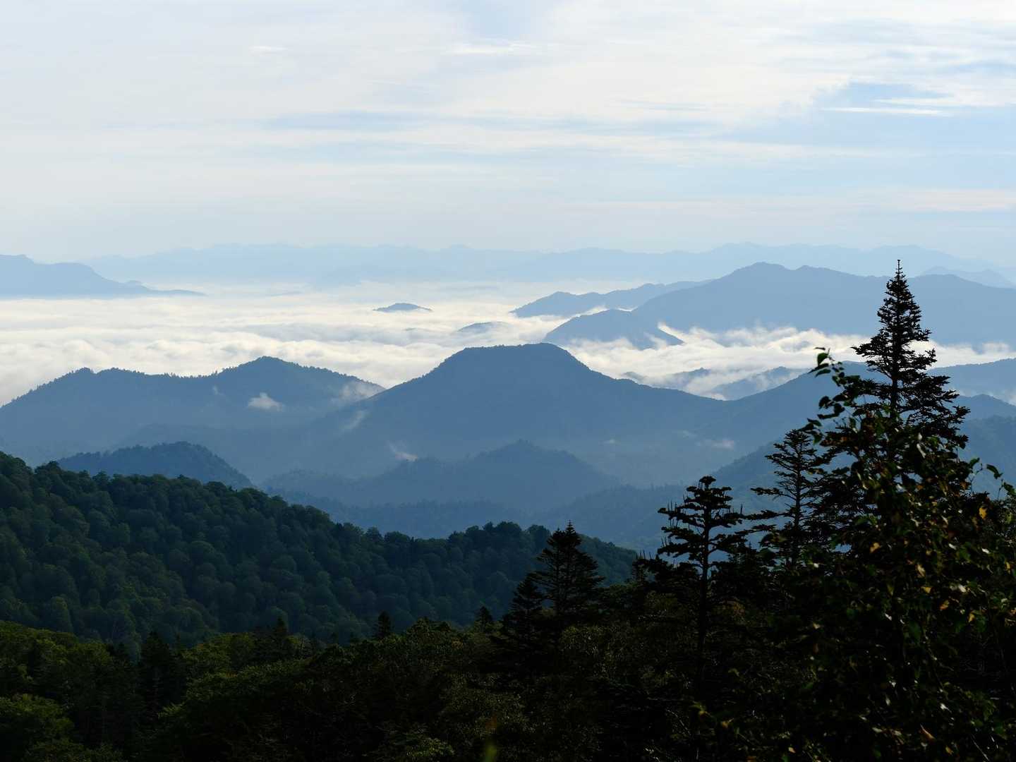 雲海の中に袴腰山（1424.1m）と大沢高森山（1375.8m）