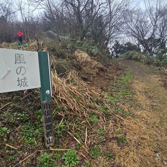 少し寄り道