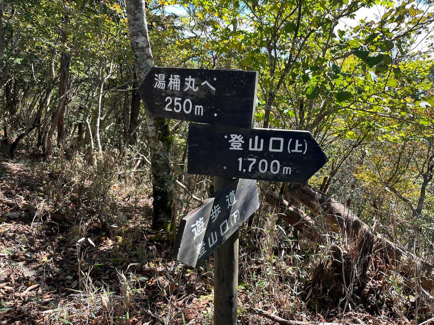 最後のひと踏ん張り😤