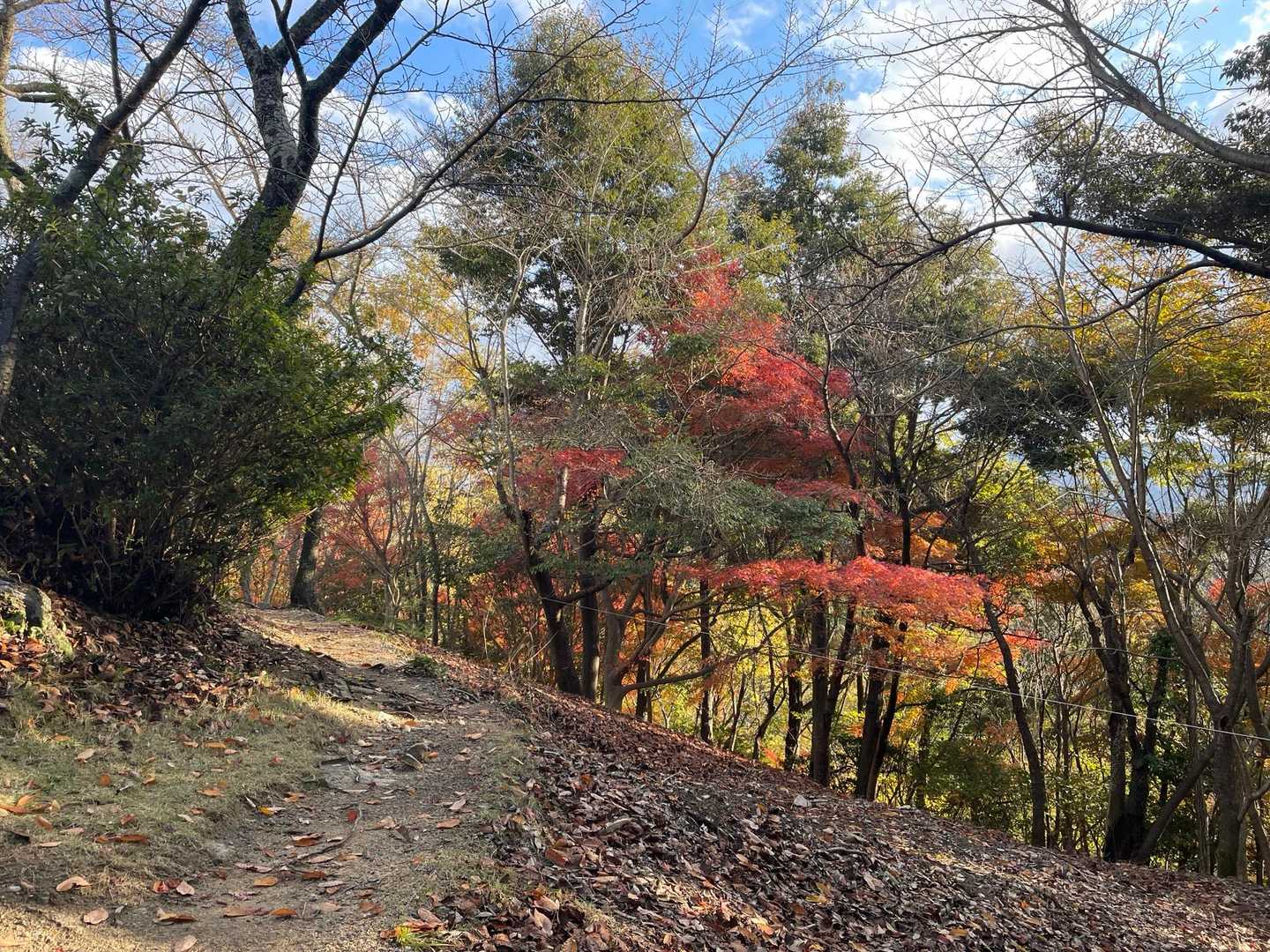 紅葉いい感じ🍁