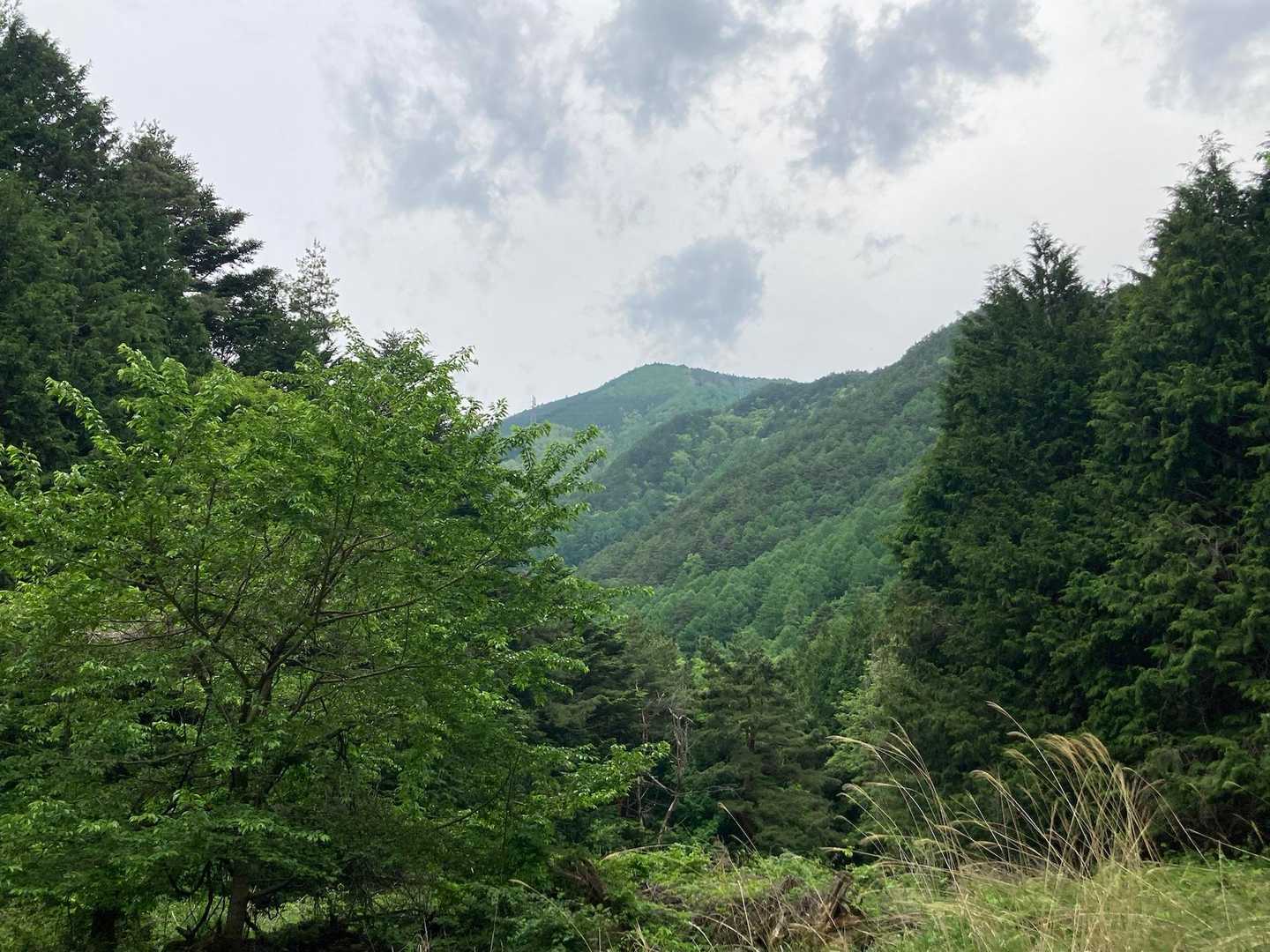 ありがとう。金松寺山、天狗岩🙏