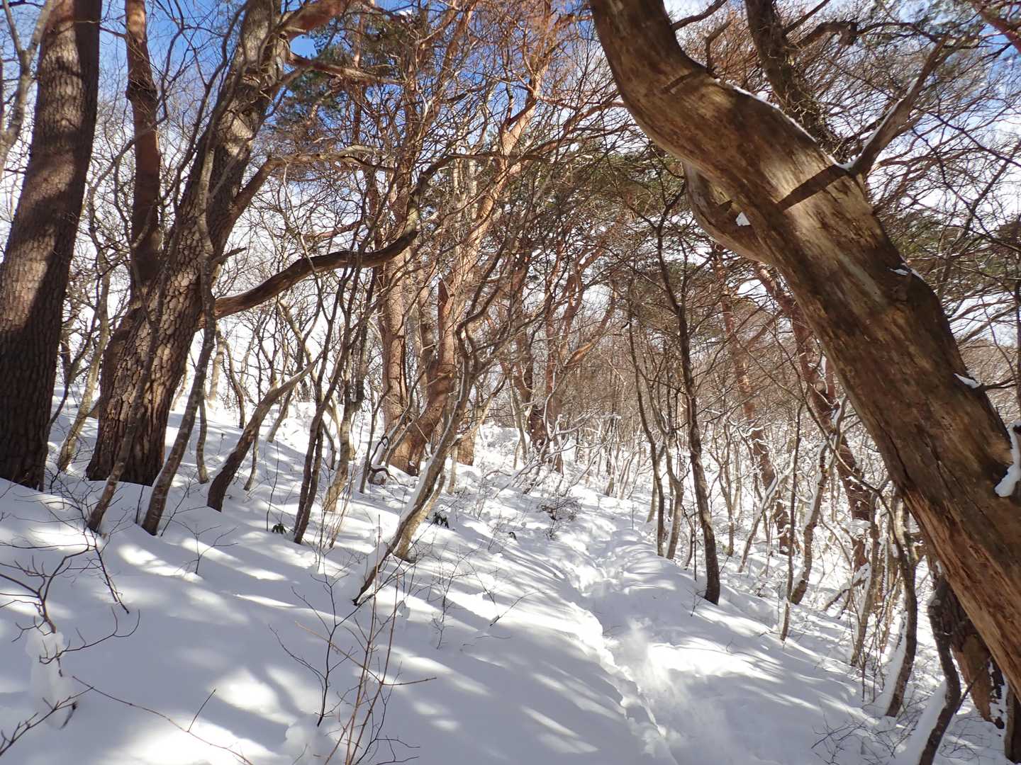 女人堂-前岳 往復コースの写真
