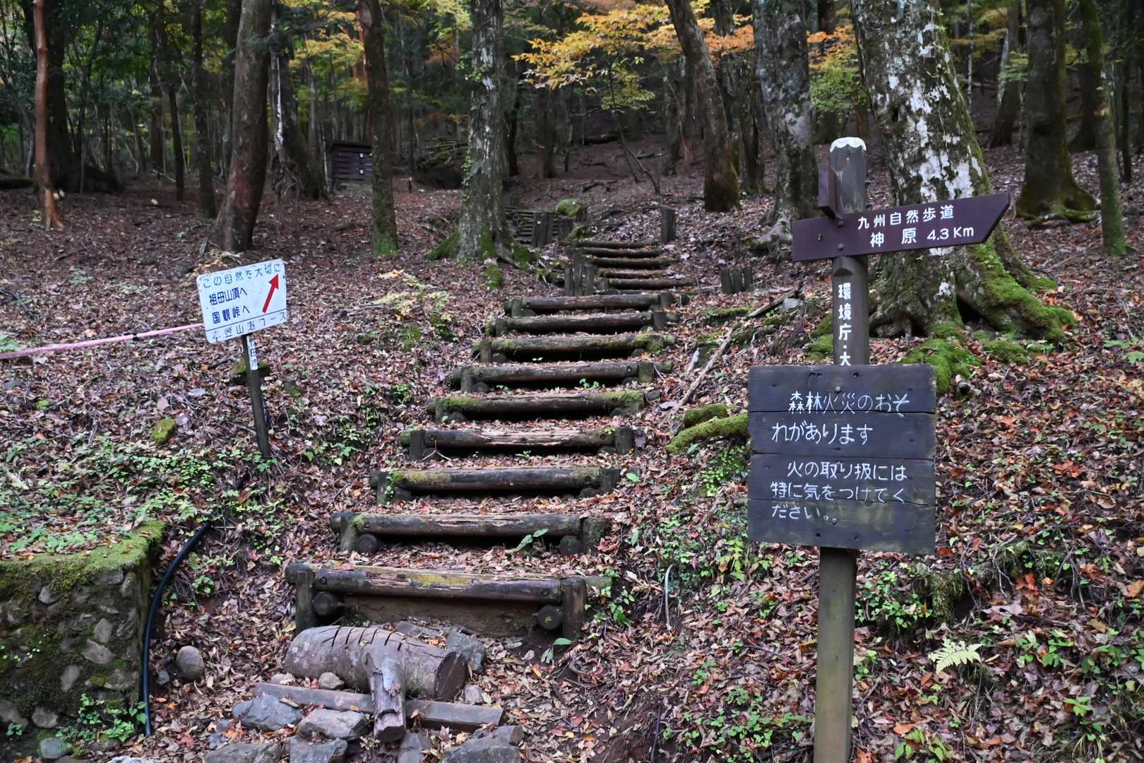 神原登山口-国観峠-祖母山 往復コースの写真