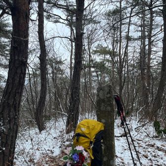 岡山。山頂標識は無くなってました。