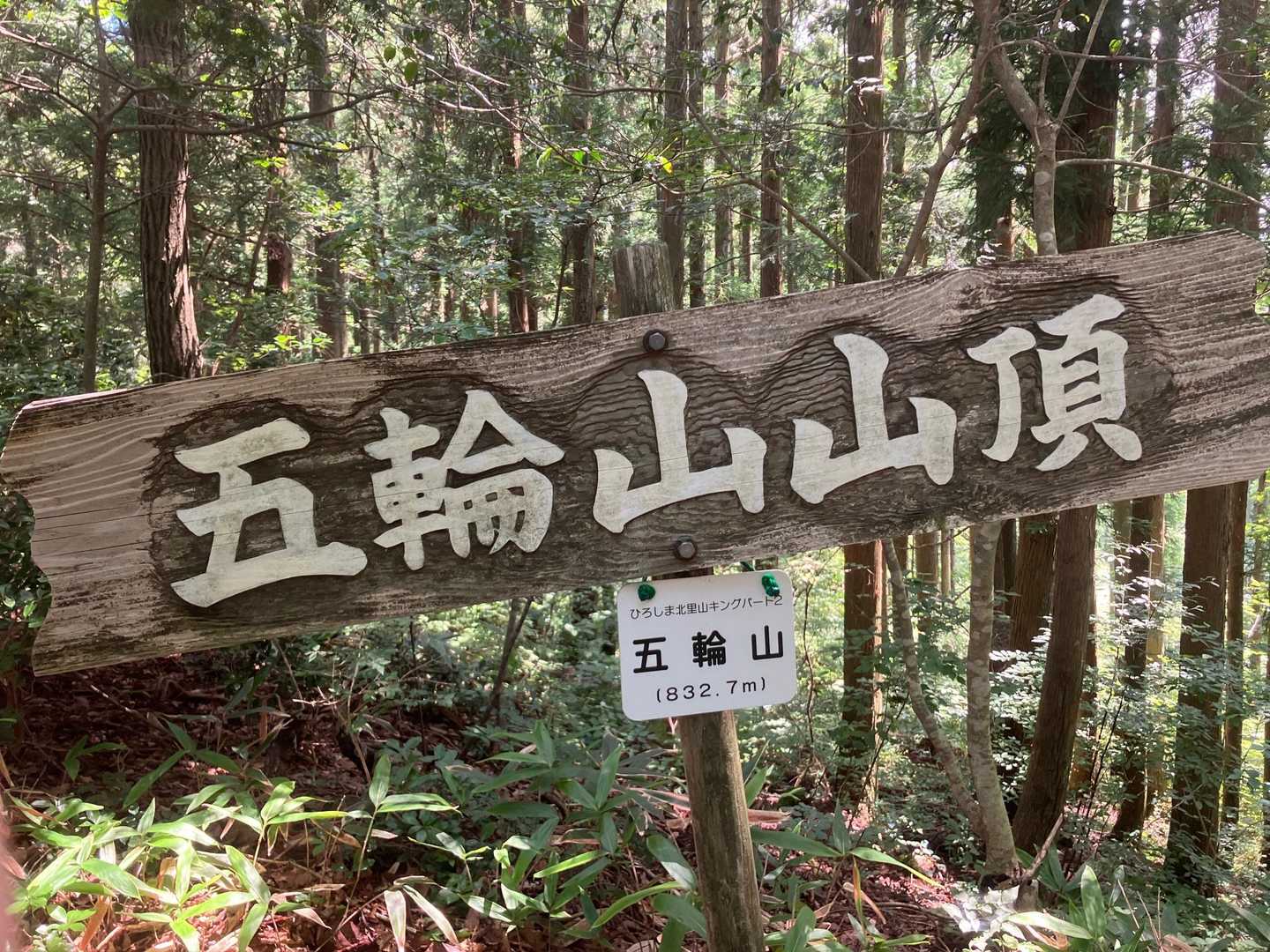 展望無いです。