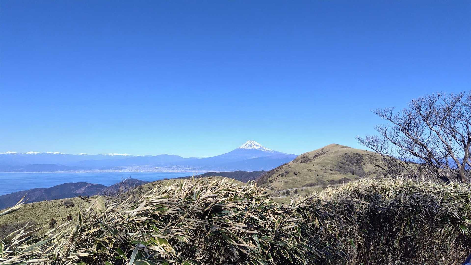 達磨山の向こうに富士山