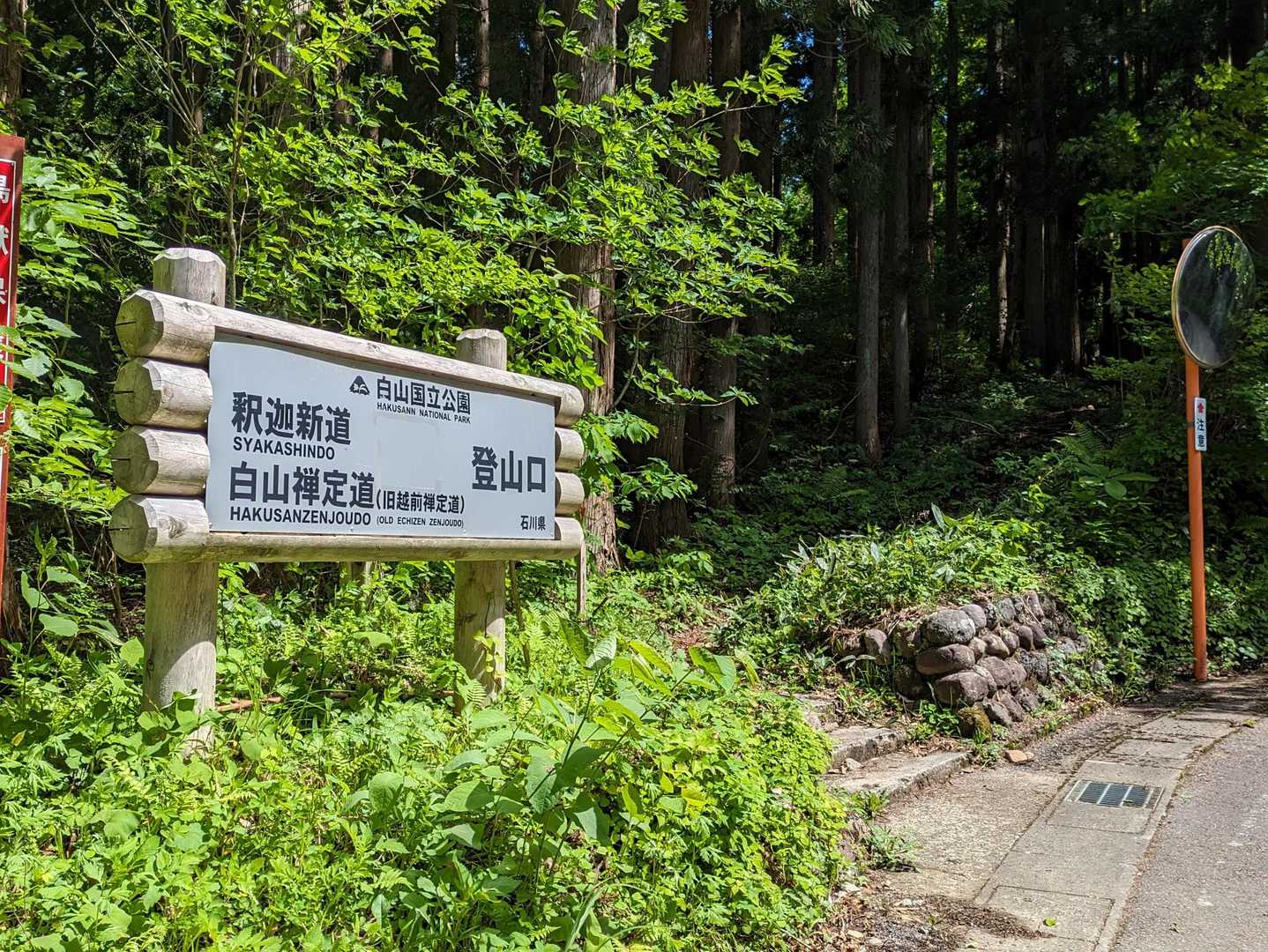 ここから山に入ります。