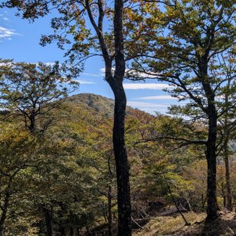 目ざす明神岳