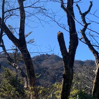 大山様
向かってますよー