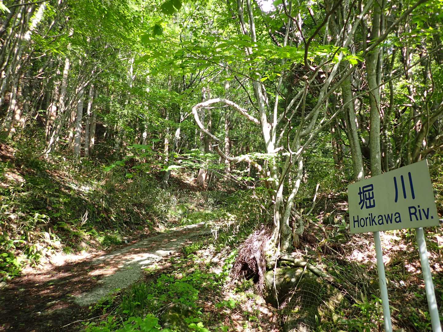 堀川登山口からスタート
