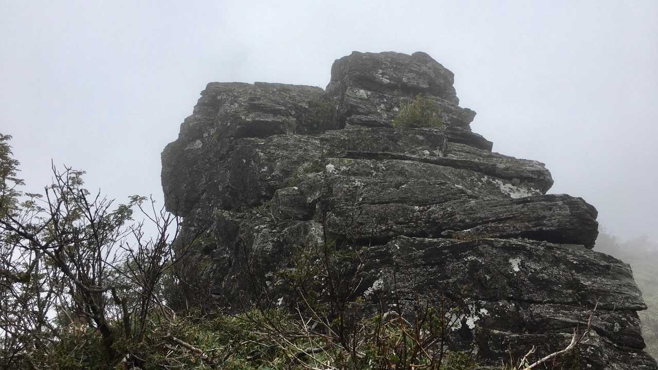 落合峠-矢筈山 往復コースの写真