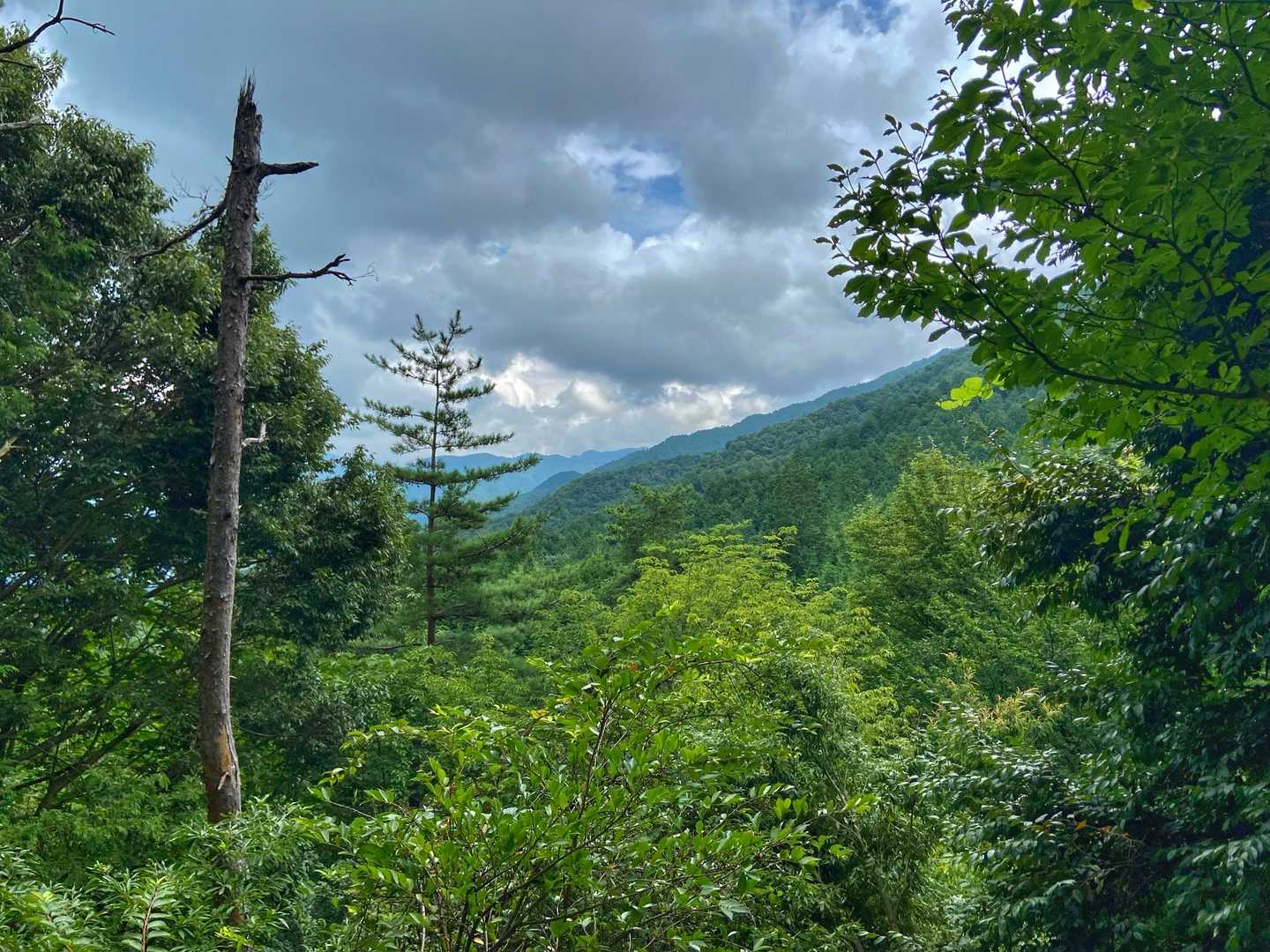 高取山登山口-高取山 周回コースの写真