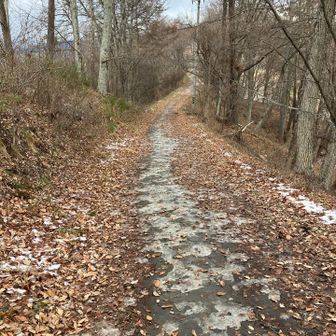 転ばないように…