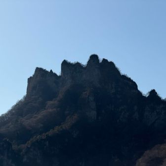 鷹戻しは…正直もう行きたくないですね