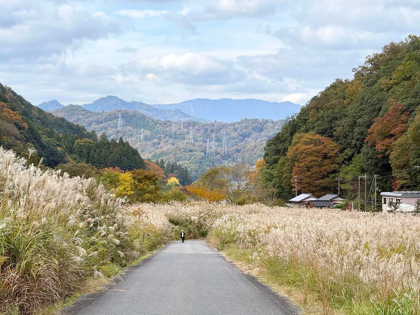 ススキもいい感じ

正面奥に蘇武岳