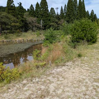 テント張れそう