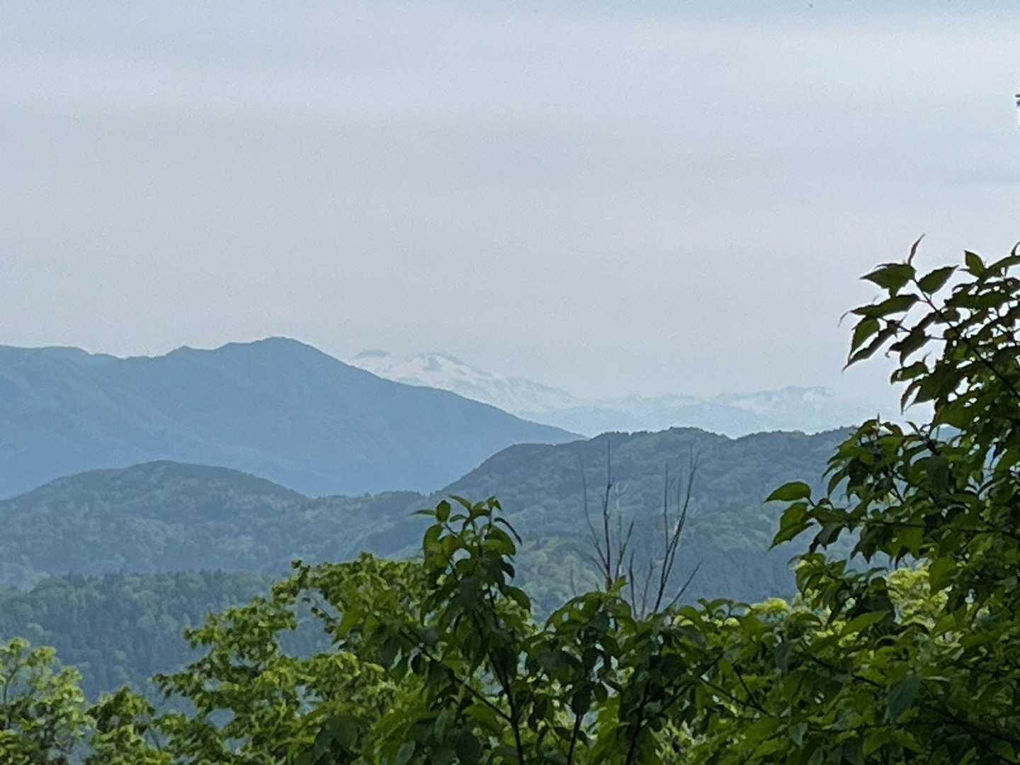 大正寺登山口-榎坂峠-丹波岳 往復コースの写真