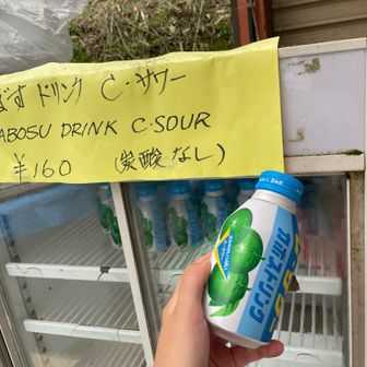 炭酸なしの酸っぱいやつ今欲してたので、すかさずゲットしゴクゴク(/◎＼)✨ｲｷｶｴﾙ😇無事怪我なく下山⛰ありがとうございました🤗
