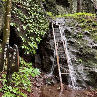ここから沢登り
時間かかったけどローカットでもなんとかなった