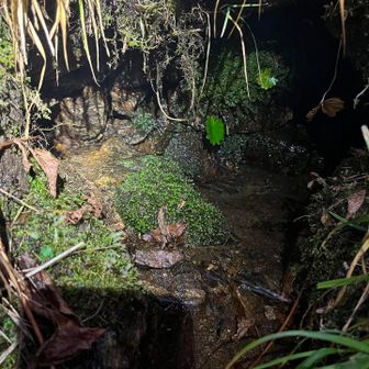 ヤオロの水場たっぷり