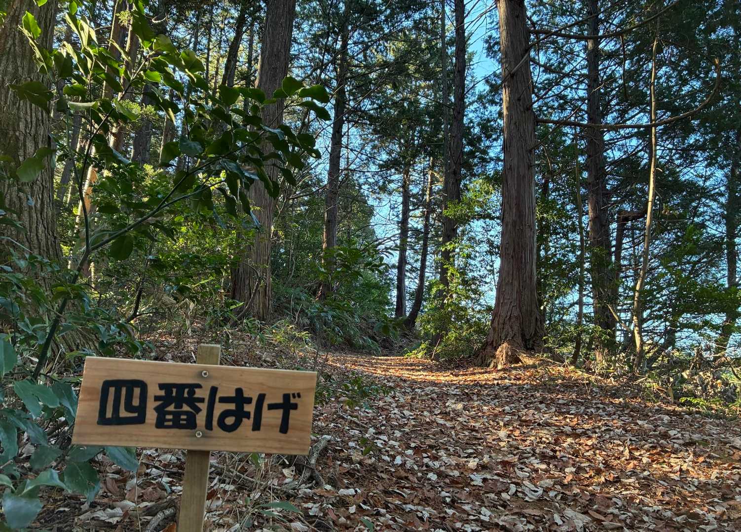 またまたまた出た❗️不思議看板 🪧
「これより　四番はげ」
これらの「不思議看板 🪧」のなぞを探るのが、今日の目的その②❗️ではありません 🙅‍♂️