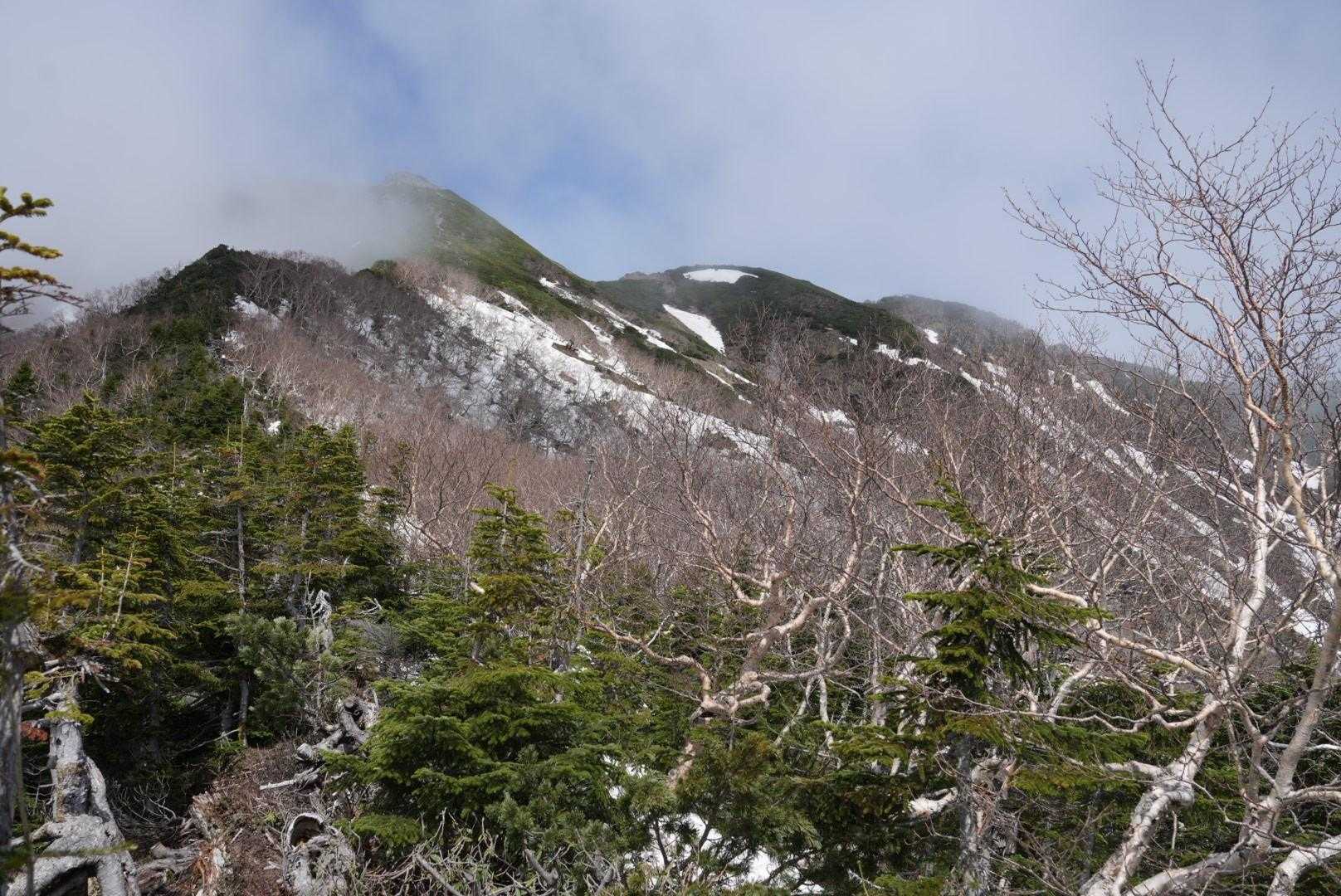 少し粘りましたがこのあたりが限界😂