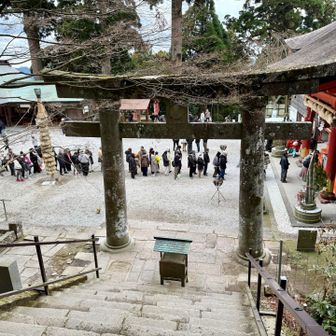 登拝完了の御礼をと思っていたら、この行列😮
バスの時間も迫っていたので、今回は潔く撤退🫤
拝礼って、やっぱり一組ずつになるものなのかな。