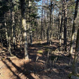 休憩せずに節刀ケ岳へ。