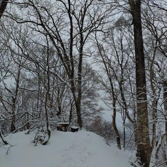 岩木山展望台。