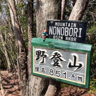 ここでの眺望はありません