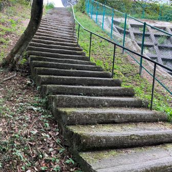ﾃﾚﾋﾞ塔📡までの階段… こんなに長かったっけ…😅