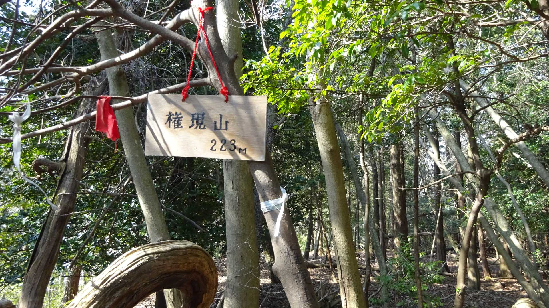と～うちゃこ☺✌
権現山(223m)