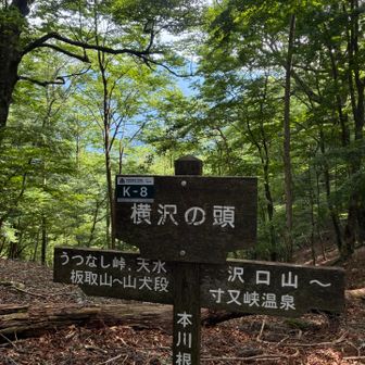 200m登り返しがあります😅