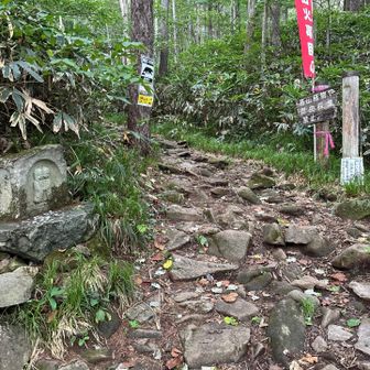 平元新道登山口へ下山
怪我なく無事下山😊