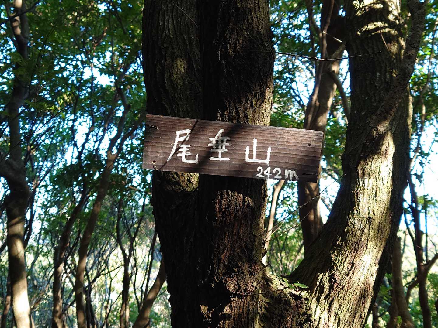 着きましたよ💪   2022年最初のピークゲットは、室戸岬の『尾垂山』です🙆