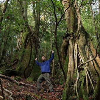 いいだむ(３ちゃん/だむ兄)