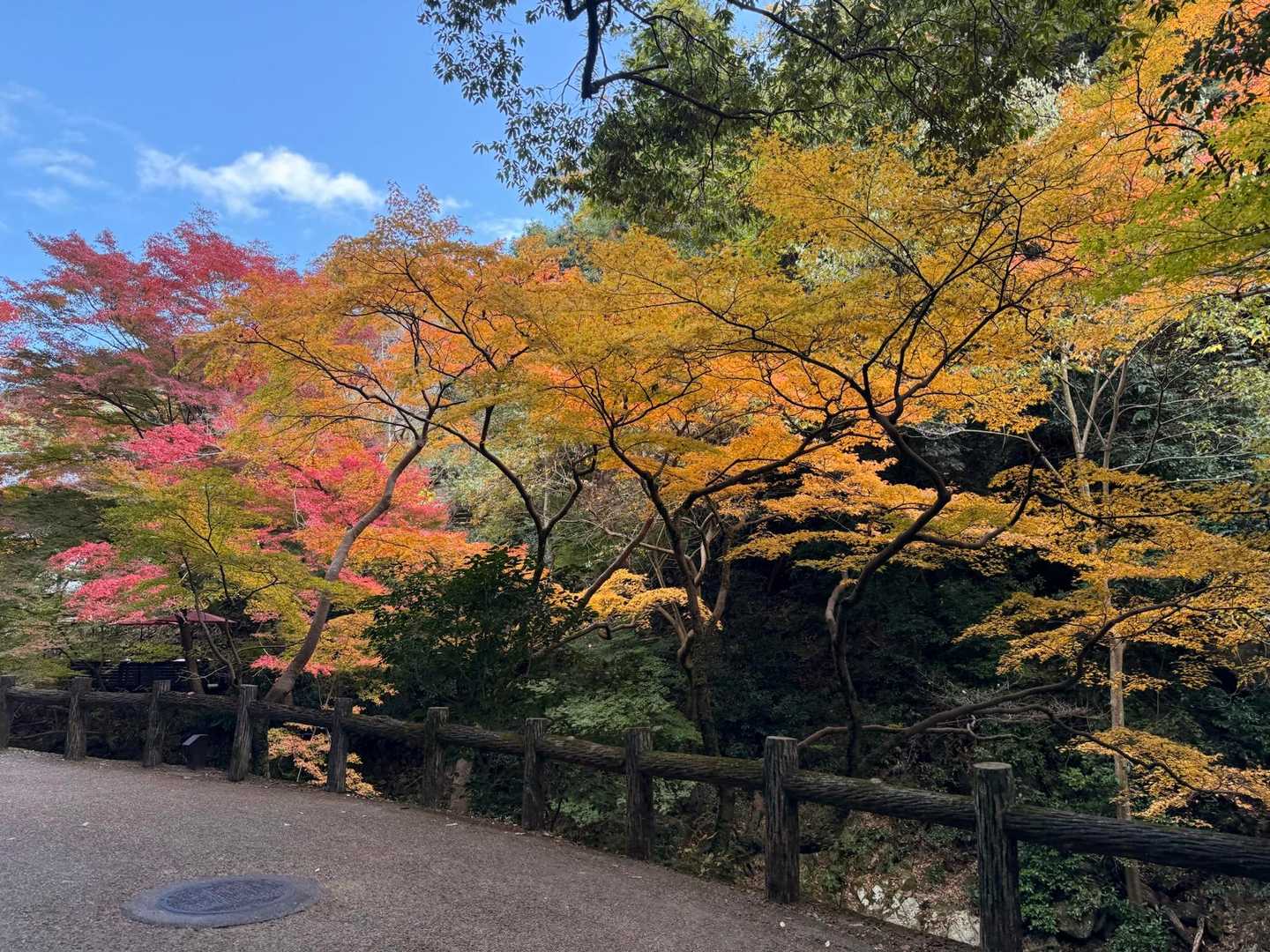 本日最初の一枚‼︎
紅葉が綺麗すぎます😆