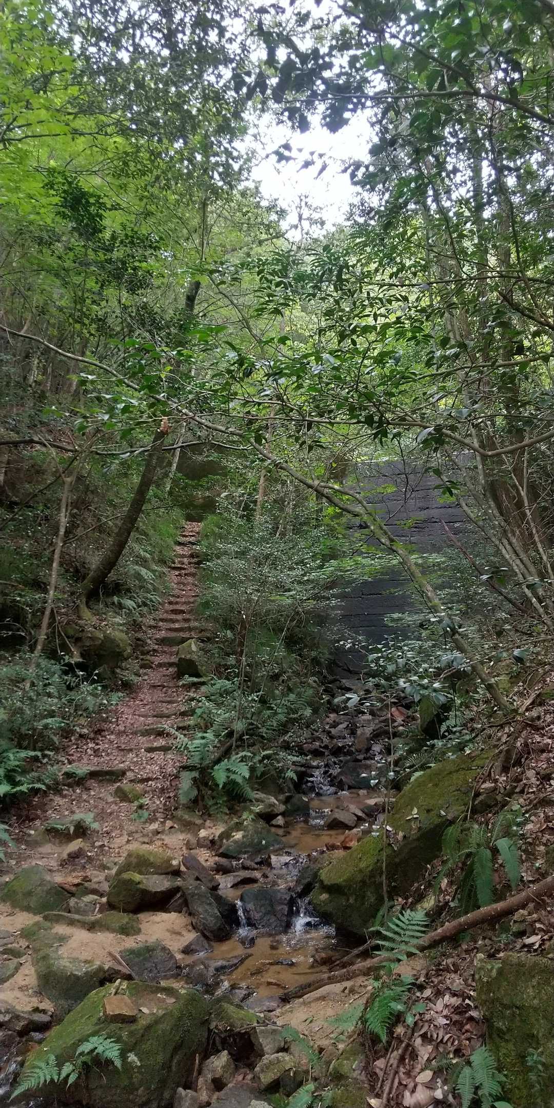 急坂🚶💦