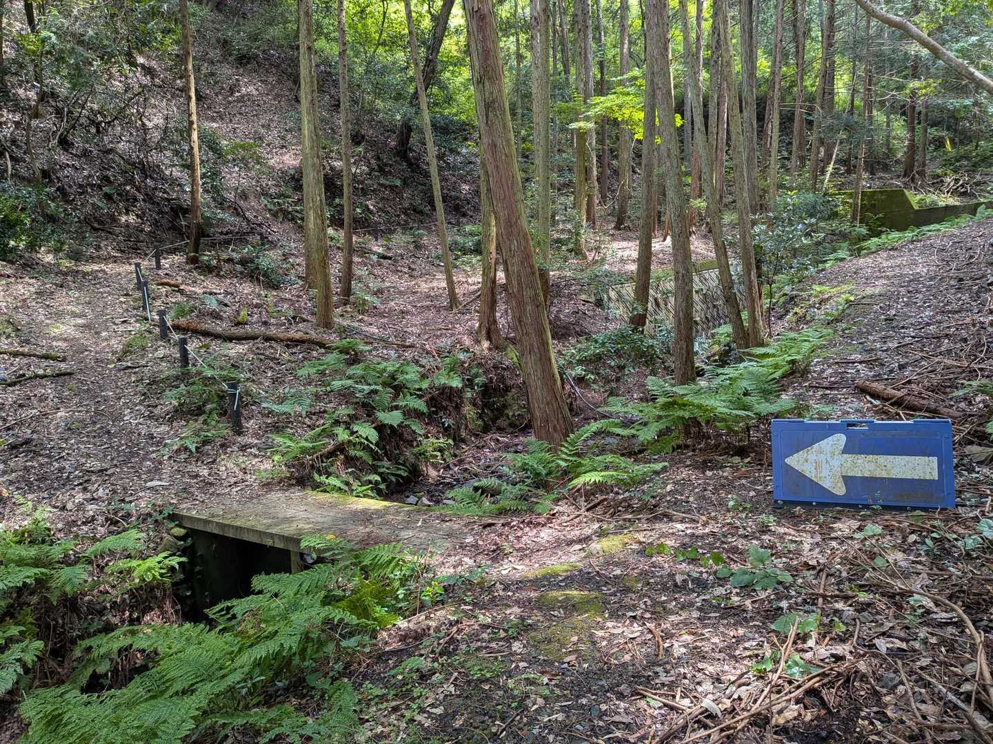 ⬅️看板まで有り、
とても整備された山の印象です🙆