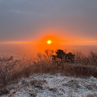 日本の夜明けぜよ